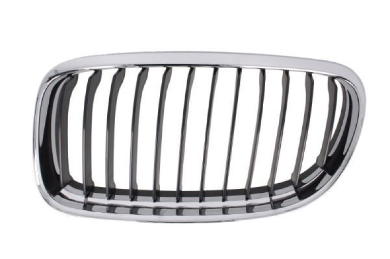 BLIC Radiator Grille