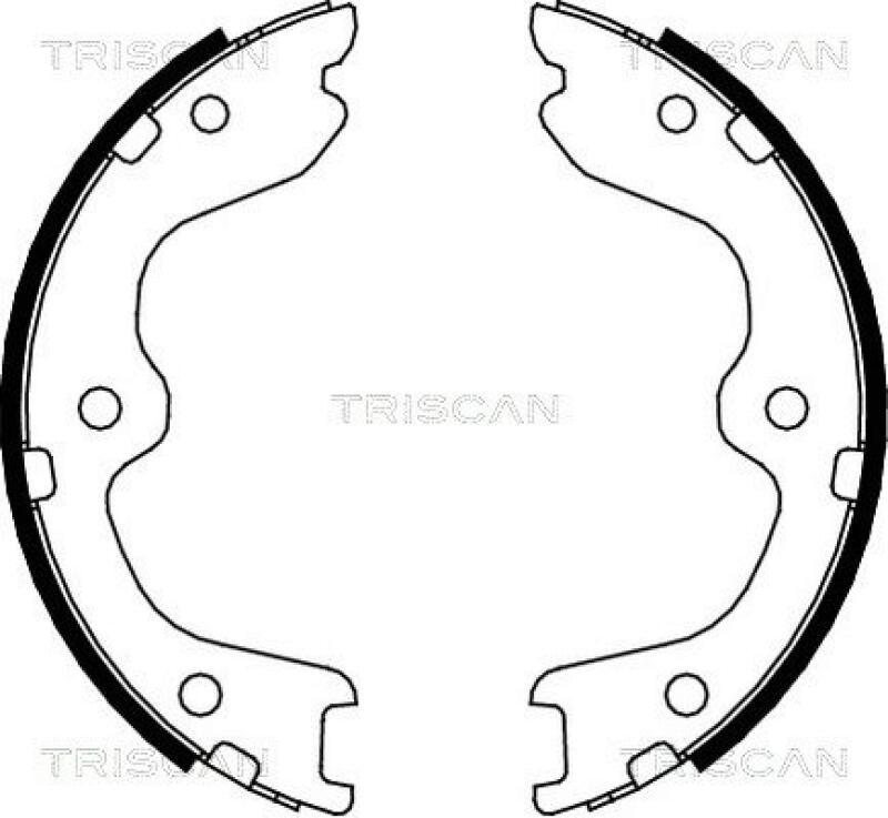 TRISCAN Brake Shoe Set, parking brake