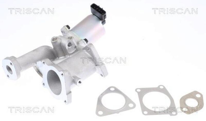 TRISCAN EGR Valve