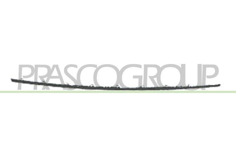 Cover, radiator grille
