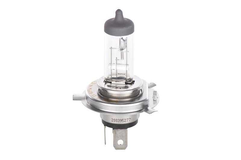 BOSCH Glühlampe, Fernscheinwerfer ECO Plus 100 WS
