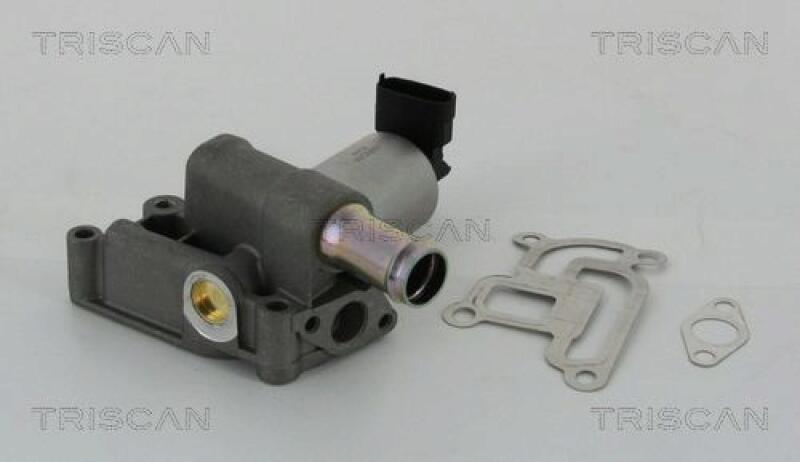 TRISCAN EGR Valve