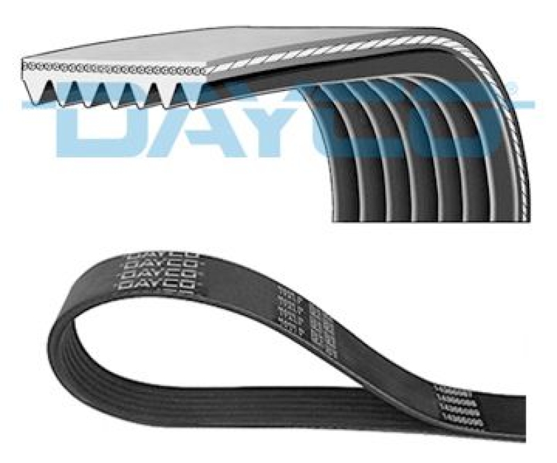 DAYCO V-Ribbed Belt