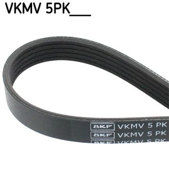 SKF V-Ribbed Belt