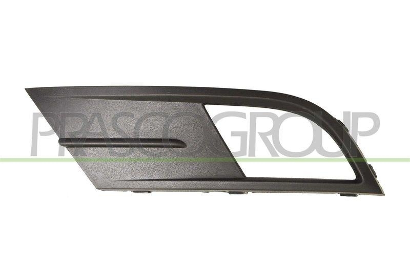 PRASCO L&uuml;ftungsgitter, Sto&szlig;f&auml;nger VG5242134