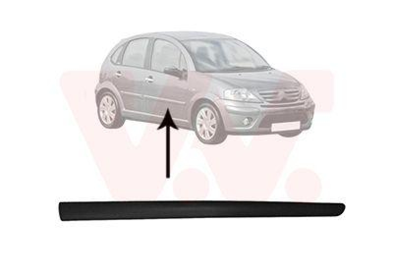 VAN WEZEL Trim/Protective Strip, door