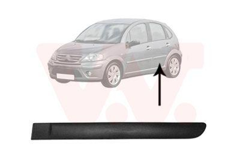 VAN WEZEL Trim/Protective Strip, door