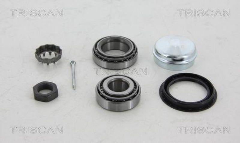 TRISCAN Wheel Bearing Kit