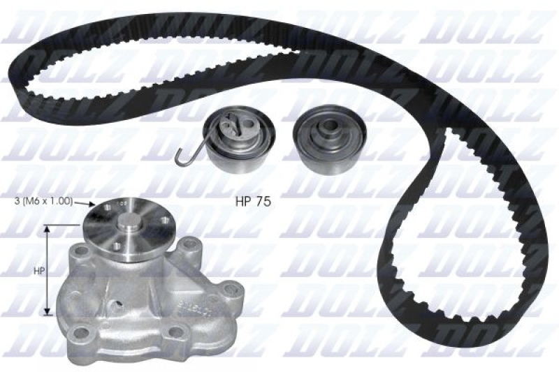 DOLZ Water Pump & Timing Belt Set