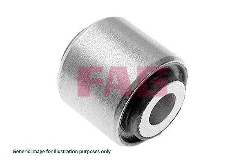 Schaeffler FAG Lagerung, Lenker