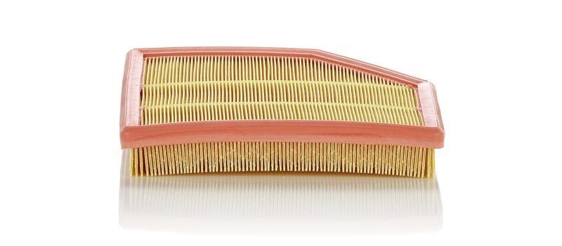 MANN-FILTER Air Filter
