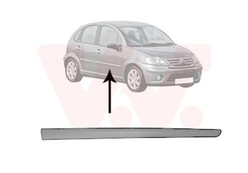 VAN WEZEL Trim/Protective Strip, door