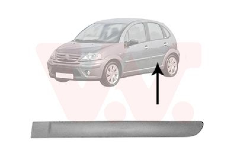 VAN WEZEL Trim/Protective Strip, door