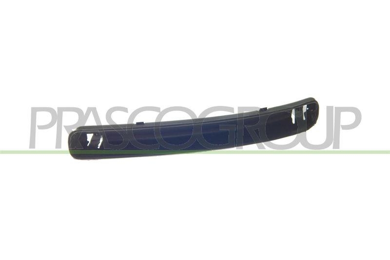 Trim/Protective Strip, bumper