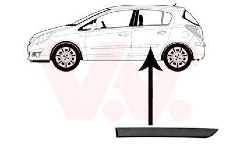 VAN WEZEL Trim/Protective Strip, door