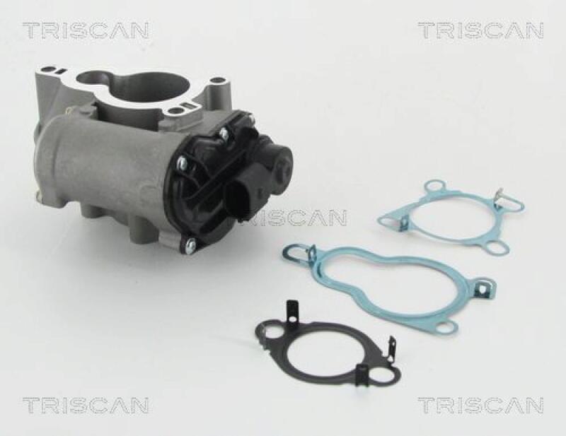TRISCAN EGR Valve