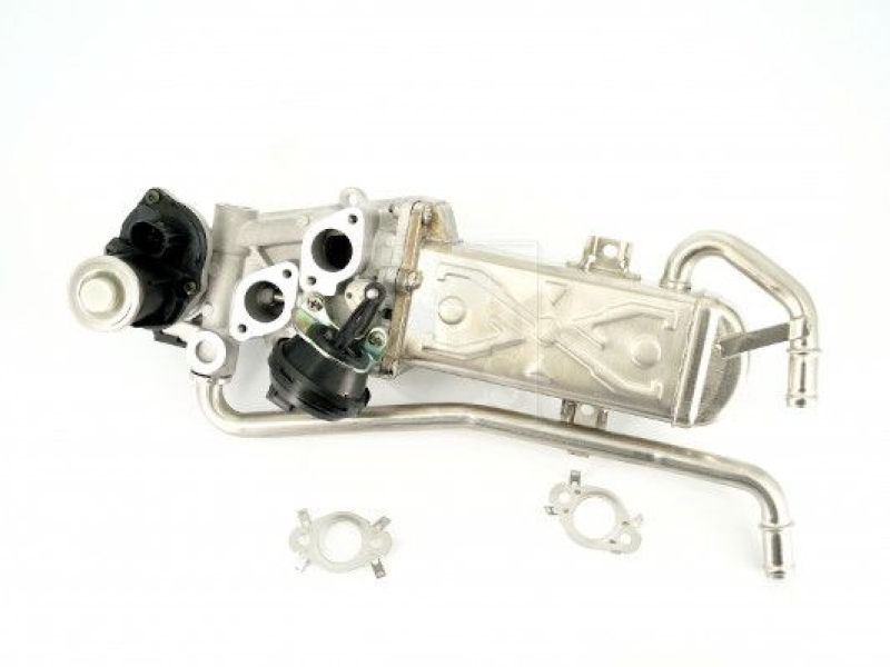 NPS EGR Valve