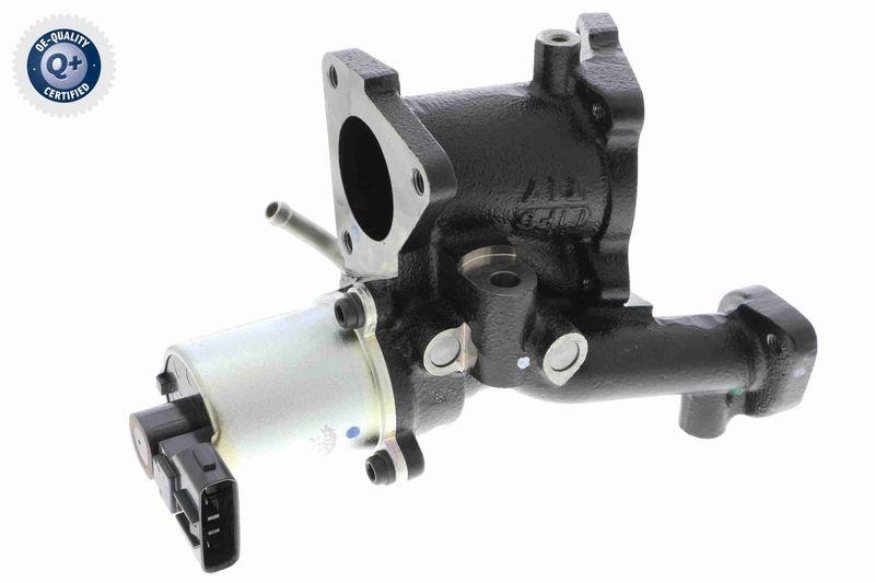 VEMO EGR Valve Q+, original equipment manufacturer quality