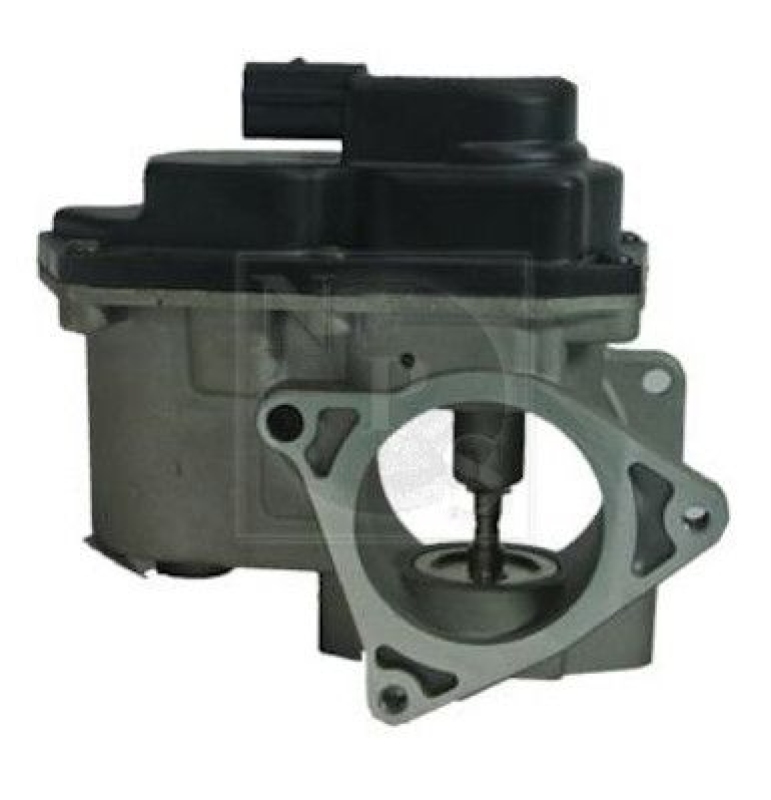 NPS EGR Valve