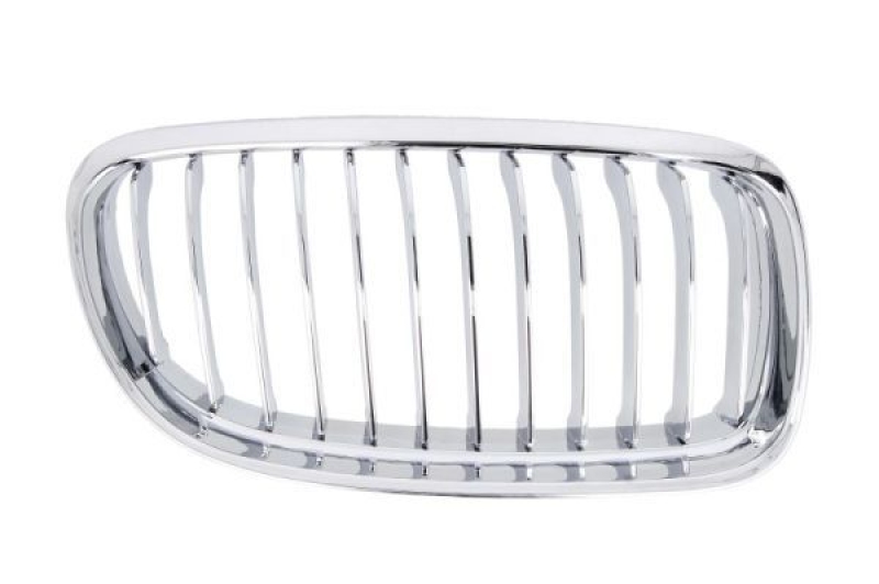 BLIC Radiator Grille