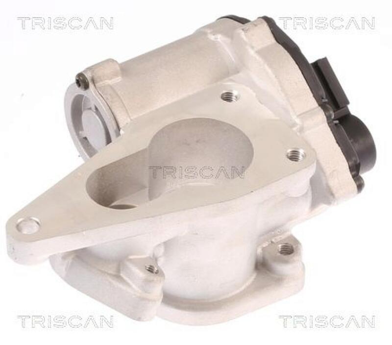 TRISCAN EGR Valve