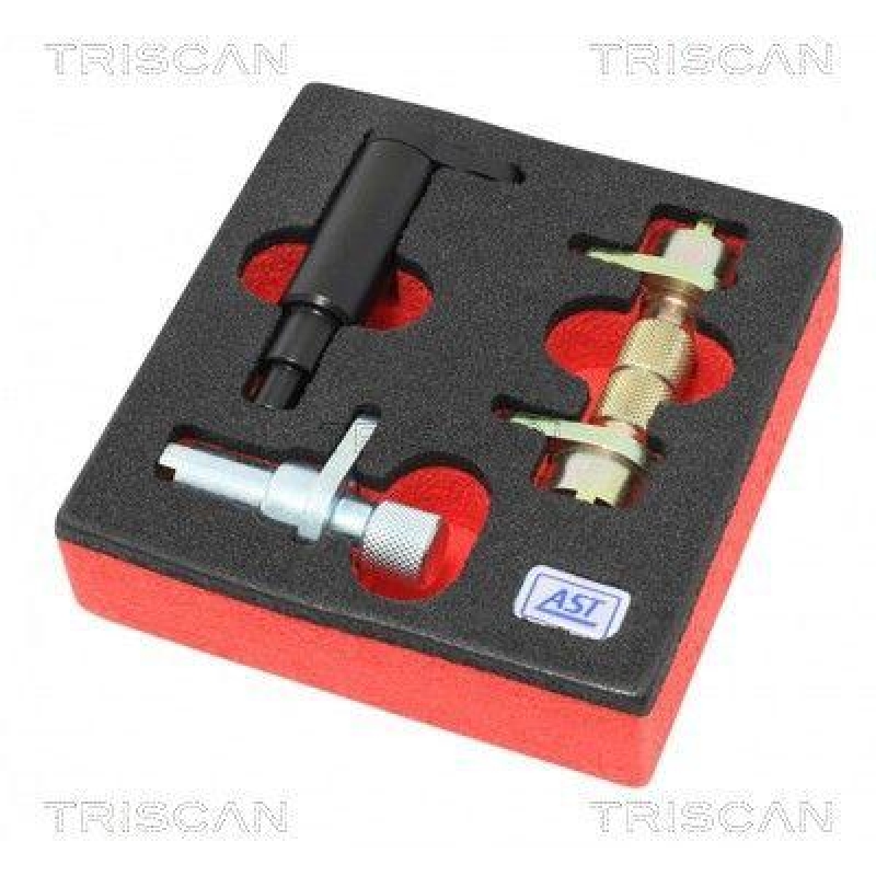 TRISCAN Tools