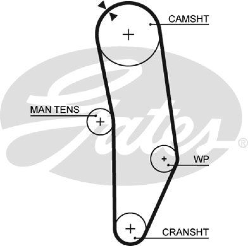 GATES Timing Belt PowerGrip®