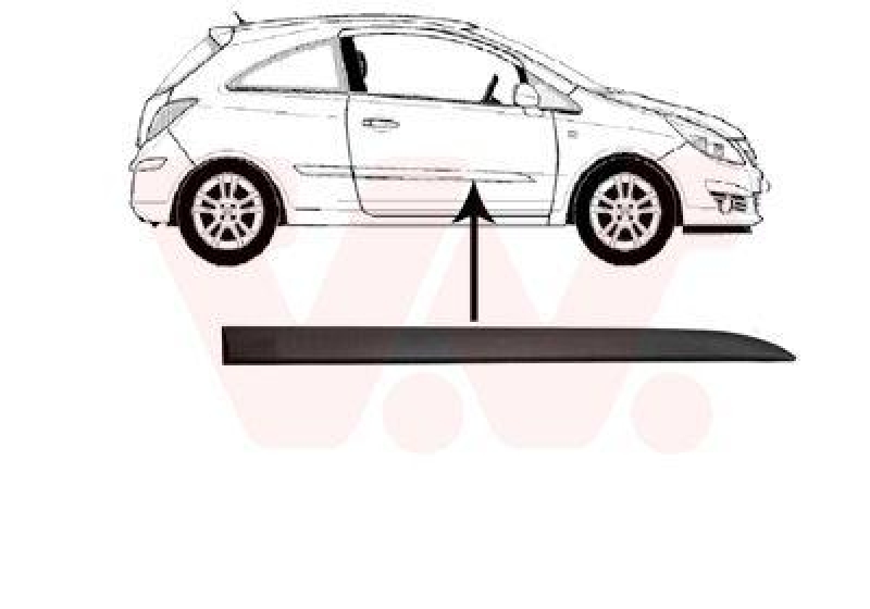 VAN WEZEL Trim/Protective Strip, door