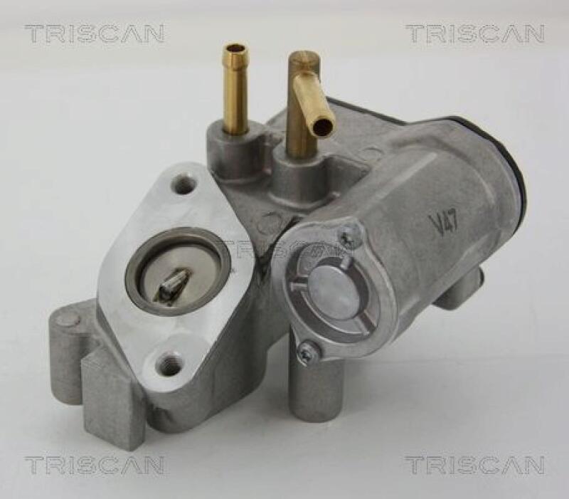 TRISCAN EGR Valve