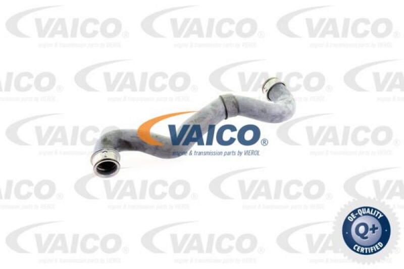 VAICO Radiator Hose Q+, original equipment manufacturer quality