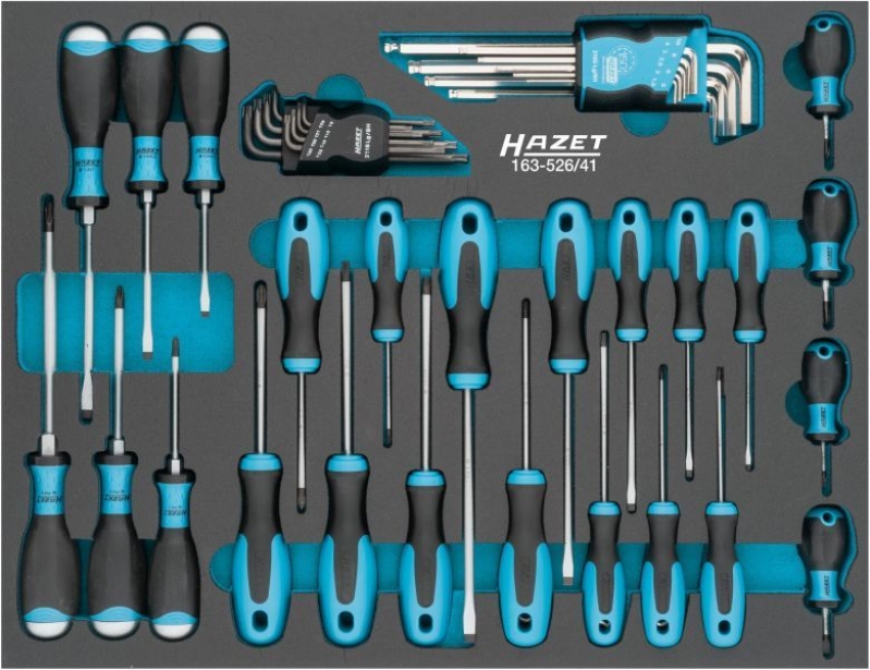 HAZET Screwdriver Set