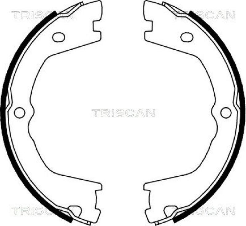 TRISCAN Brake Shoe Set, parking brake
