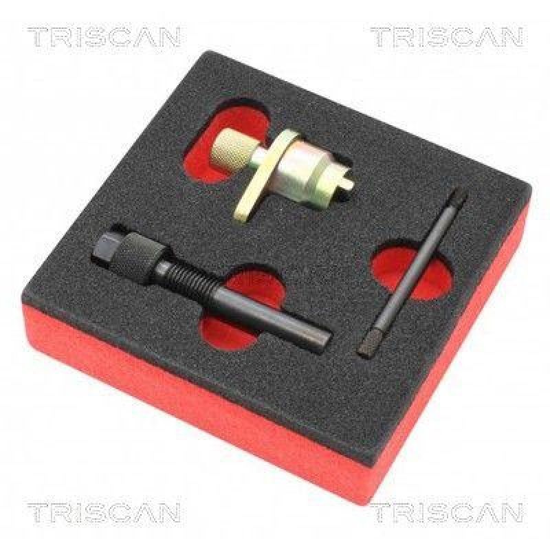 TRISCAN Tools