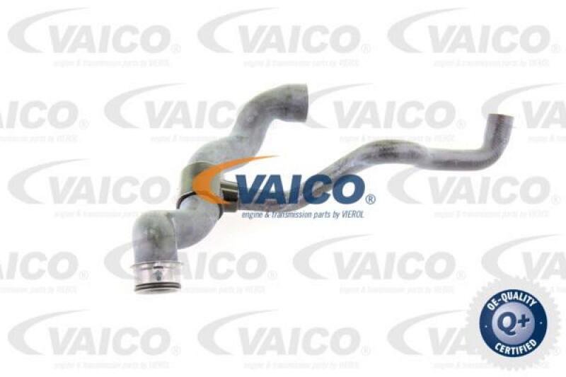 VAICO Radiator Hose Q+, original equipment manufacturer quality