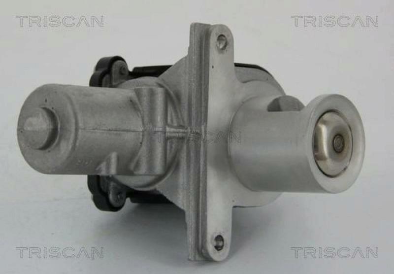 TRISCAN EGR Valve