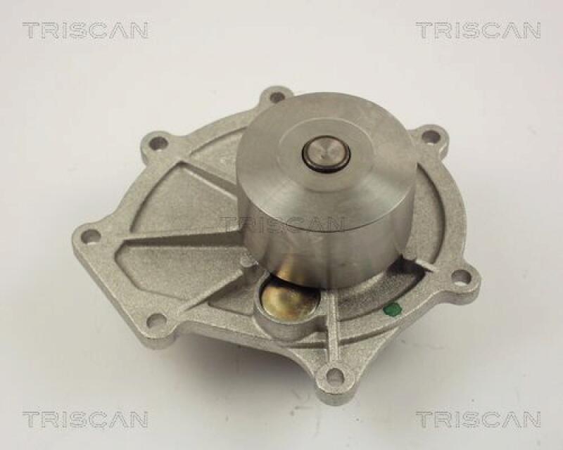 TRISCAN Wasserpumpe 8600 17009
