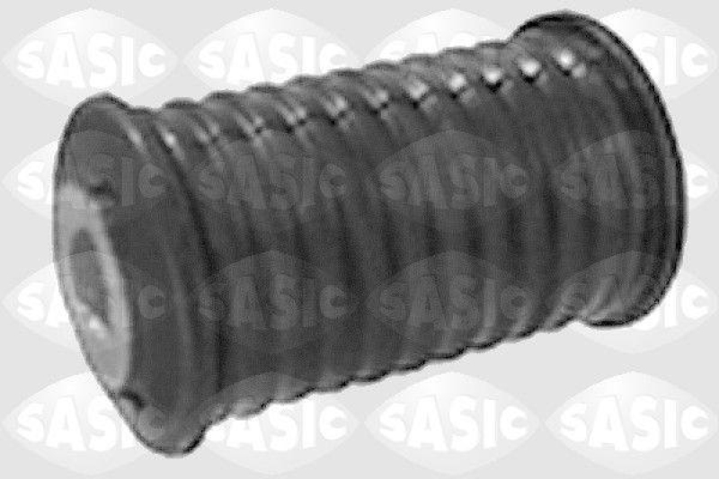 SASIC Mounting, leaf spring