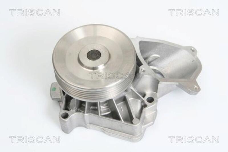 TRISCAN Wasserpumpe