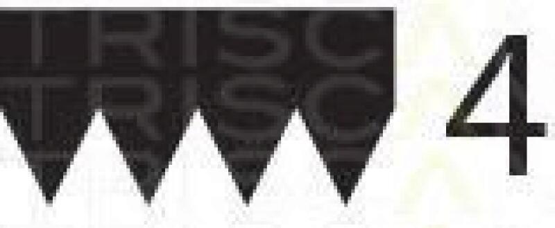 TRISCAN Keilrippenriemen 8640 400810SF