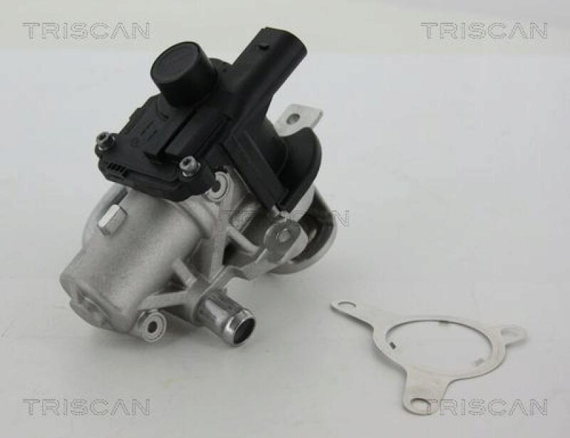 TRISCAN EGR Valve