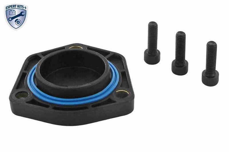 VAICO Gasket, oil sump EXPERT KITS +