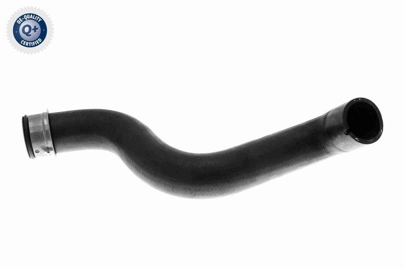 VAICO Kühlerschlauch Q+, Erstausrüsterqualität V30-1664