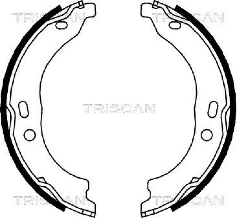 TRISCAN Brake Shoe Set, parking brake