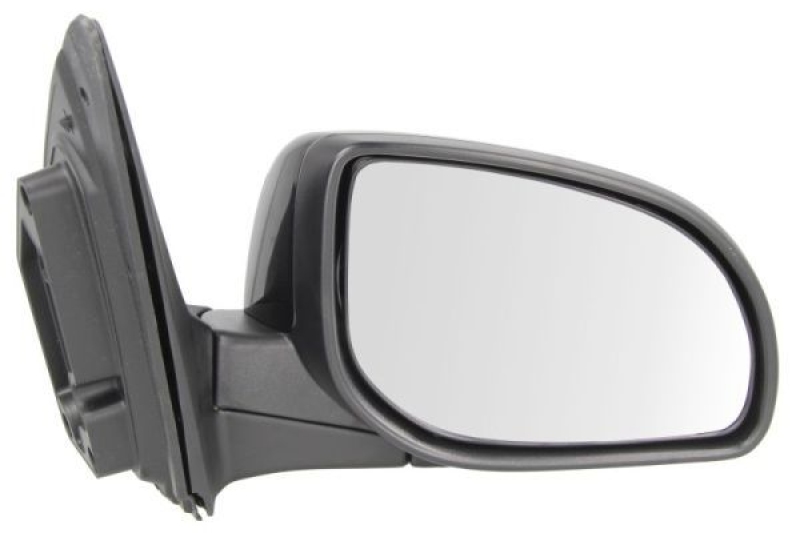 BLIC Exterior Mirror