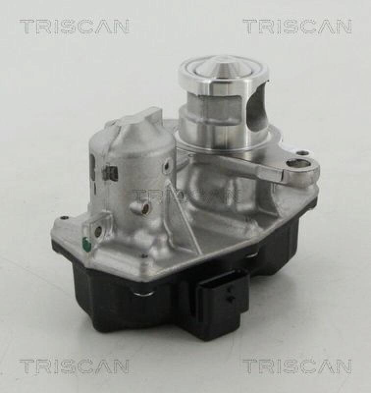 TRISCAN EGR Valve