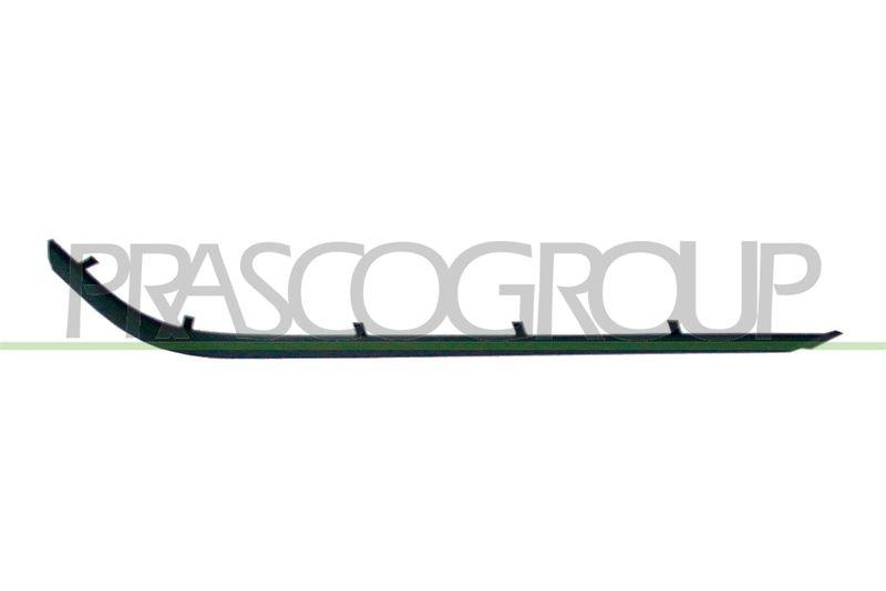Trim/Protective Strip, bumper