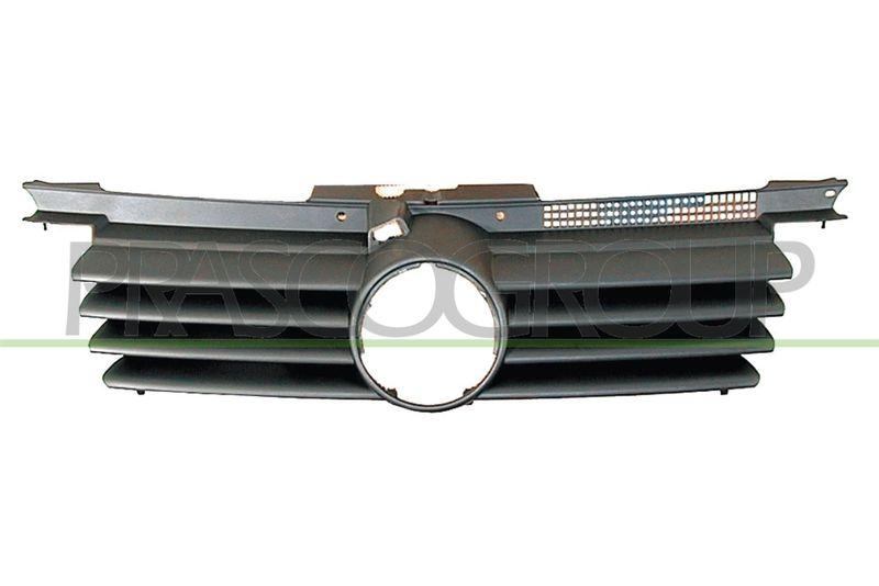 Radiator Grille