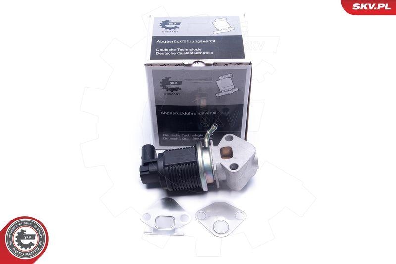 ESEN SKV AGR-Ventil