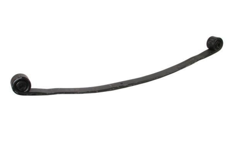 Magnum Technology Spring Leaf