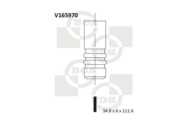 BGA Einlassventil V165970